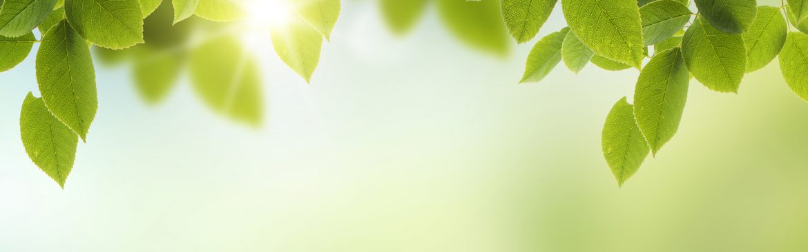 green-bg.jpg